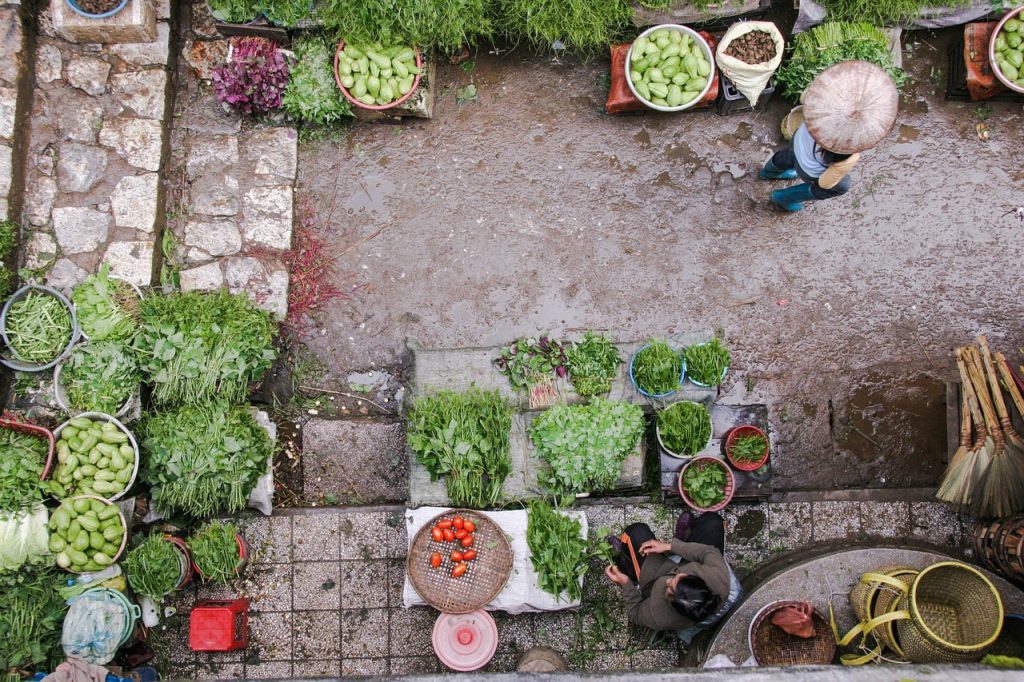 Dream Meaning of Vegetables