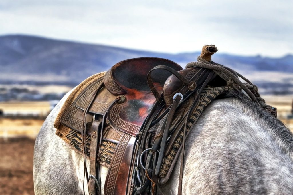 Dream Meaning of Saddle