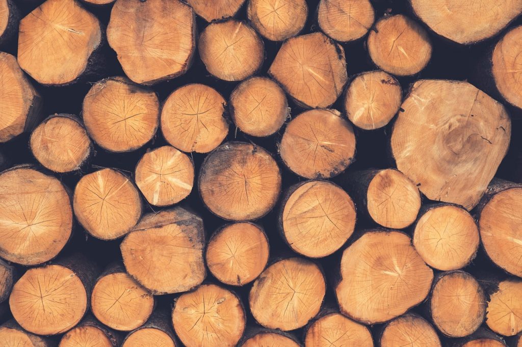 Dream Meaning of Timber