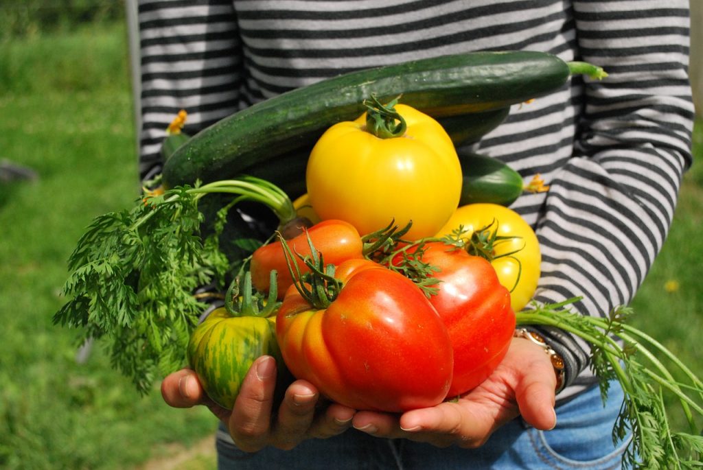 Dream Meaning of Vegetables