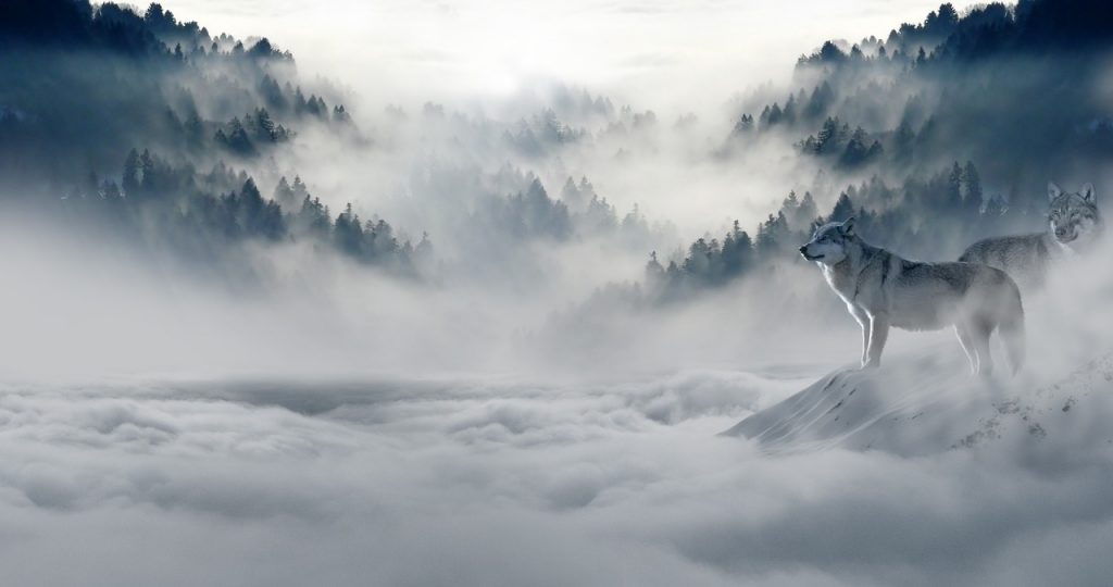 Dream Meaning of Winter